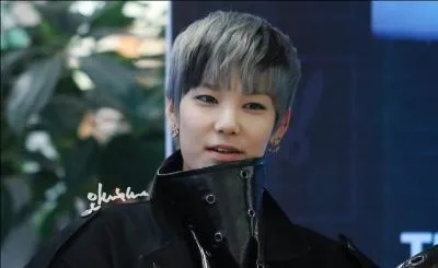 Dans  Ta-Dah ! It's B. A. P , qui est-il ?