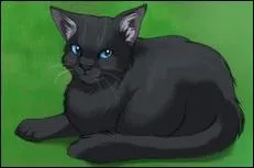 Il a t accept au Clan des toiles ? Si non, o est-il maintenant ?