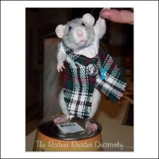 Pour le clbre  Robinson Cruso , Daniel Defoe s'est inspir de l'histoire vraie d'un marin cossais, rest 4 ans sur une le dserte :