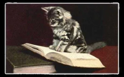 On en fait toute une histoire ! Il inventa la typographie :