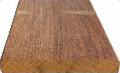 Cocher la bonne orthographe de cet adjectif :