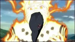 Pendant ce temps, Naruto et Killer Bee affrontent eux aussi des Edo Tensei, qui sont-ils ?