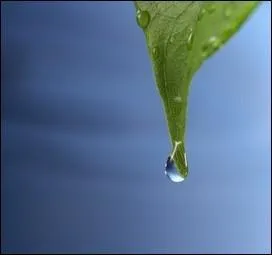 Comme une perfusion.