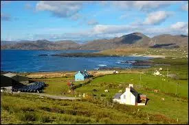 Comment est le drapeau de l'Irlande ?