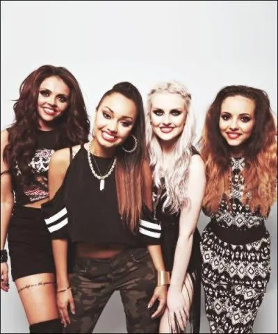 Qui a chant  son audition  Bust Your Windows  de Jazmine Sullivan ?