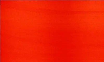 Quelle couleur le chat ne distingue-t-il pas ?