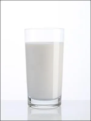 Quel aliment ne faut-il jamais donner  un chat ?