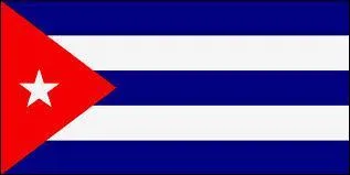 À quel pays correspond ce drapeau ?