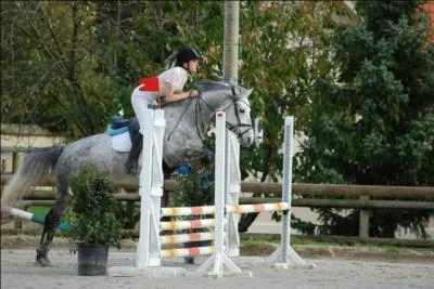 Qu'est-ce qu'une reprise ?