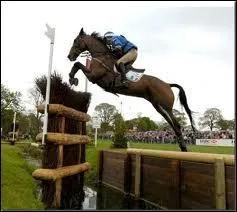 Quelles sont les disciplines questres pratiques en CCE ?