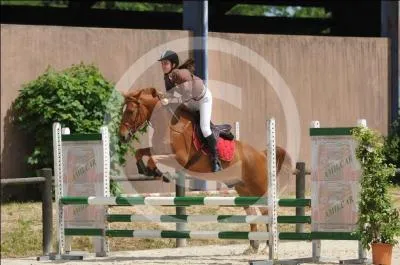 Quelles rgles sont  respecter ?