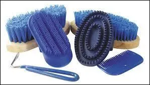 Quel est l'ordre des brosses lors du pansage ?