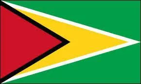 À quel pays correspond à ce drapeau ?