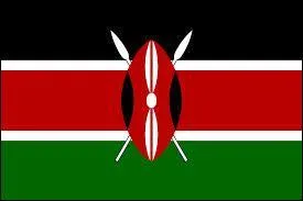 À quel pays correspond à ce drapeau ?