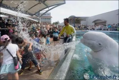 Chri, t'as oubli de prendre ta douche ! O vit le bluga ?