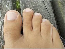 Qu'entendez-vous quand je vous dit  orteil  ?