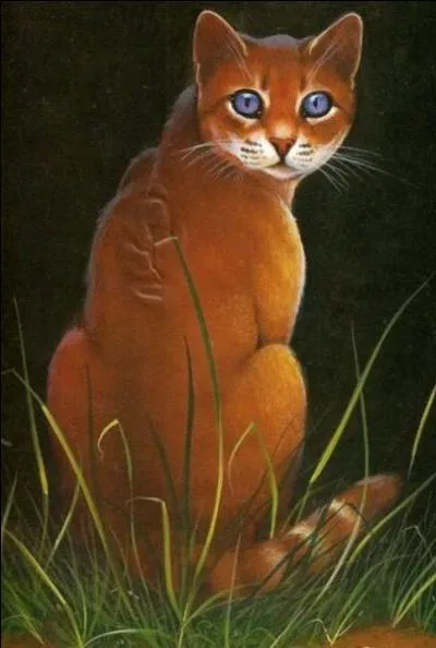 Quel est le nom de guerrire de Nuage de Myosotis ?