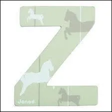 Cheval qui aurait du tre vache !