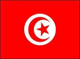  quel pays correspond ce drapeau ?