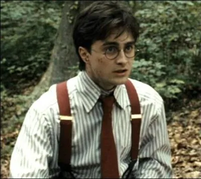 Lass de ces fausses notes, Harry propose aux deux tourtereaux de faire un tour au ministre de la Magie. L'excursion se passe mal, et le trio se retrouve dans la fort. Expliquez-moi alors l'image ci-contre !