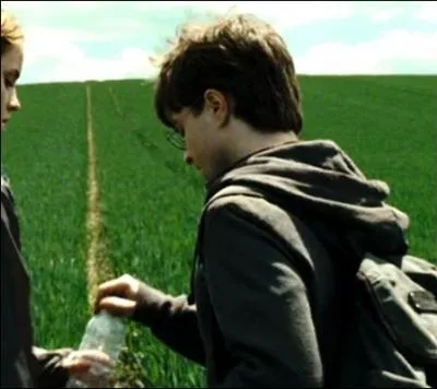 Refroidis par l'exprience  camping trois toiles  et afin de se dgourdir les pattes, Harry et Hermione se lancent dans des randonnes. Sac  dos et bouteilles d'eau, o vont nos trois compres ?
