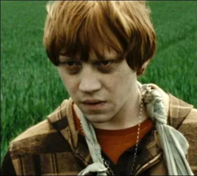 Toute cette marche rend Ron furieux... et fatigu. Qu'en pense-t-il ?