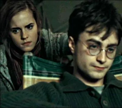 Sance coiffeur pour Harry, perdu dans ses sombres penses. Et la coiffeuse,  quoi pense-t-elle ?