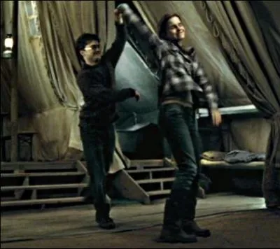 C'est cette priode des vacances que tout le monde redoute : le mal du pays, le cafard, l'ennui, bref, le moment de vide. Harry, en fin connaisseur de la nature humaine, trouve la solution miracle.