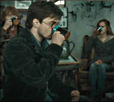 Sance  Tea Party  chez le vieux Xno. Harry se montre poli, mme si le breuvage s'avre nauseux. En effet, il s'agit :