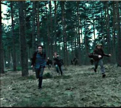 Pourquoi cette course si effrne ?