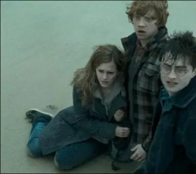 Harry se fait ensuite inviter chez Drago Malefoy. L'hospitalit n'tant pas le point fort des Malefoy, Harry quitte trs vite les lieux pour finir le sjour  la plage. Pourquoi cet air si dconfit, Harry ?