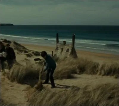 a sent la fin des vacances... Le dernier soir, que fait Harry au coucher du soleil ?