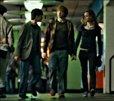 Et puis, au milieu de la fte, des vandales viennent tout casser, avec une violence exacerbe. Un massacre. Harry, Ron et Hermione prennent la fuite. Mais que dit Harry, sur la photo ?