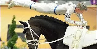 Pour la voltige, quelle race de chevaux faut-il ?