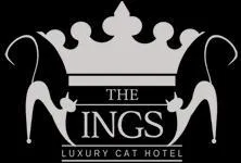 Parmi ces services, lequel n'est pas propos par l'htel pour chat  The Ings Luxury Cat Htel  prs de Leeds