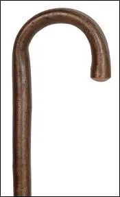 Le mot commence par : Ane ...