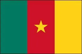 À quel pays correspond ce drapeau ?