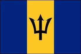 À quel pays correspond ce drapeau ?