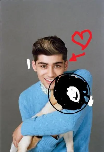 Zayn prfre-t-il les chiens ou les chats ?