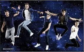 De quel groupe Zayn fait-il partie ?