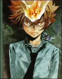 Quel est l'anneau que reoit Tsuna ?