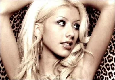 Quel acteur, joue avec elle dans Burlesque ?