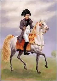 Quel tait le barbe de Napolon ?