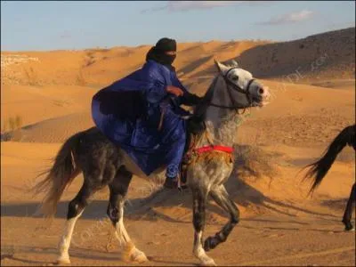 Quel est le moins lgant de ces deux barbes ?