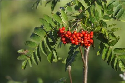 La photo vous donnera le nom de cet htel de Val d'Isre :