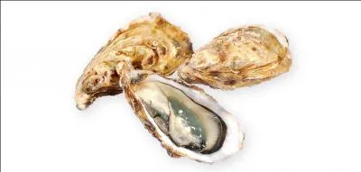Cette année nous dégusterons les plus petites des huîtres creuses :