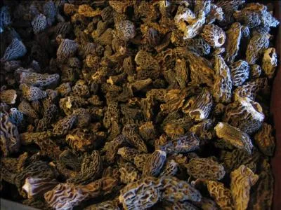 Que nous souhaitions garnir avec des morilles. Sachant que 100 g de morilles séchées donnent 500 g de morilles réhydratées, le bocal est cher. Il est d'autant plus cher que les morilles ont été rares en 2013. On a donc regardé les prix à "Métro", magasin réservé aux professionnels, et on ne les a pas achetées. Combien coûtait le bocal de 450 g ?