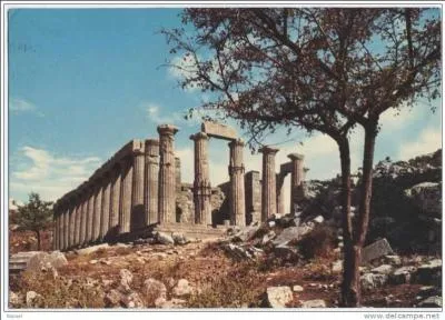 Le temple d'Apollon  Bassae est ddi ...