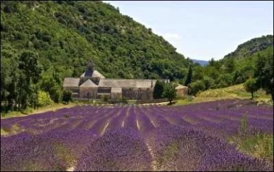 Quelle est la capitale de la rgion Provence-Alpes-Cte-d'Azur ?