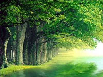 Quel tait le deuxime prnom du Prsident amricain Thomas Wilson ?